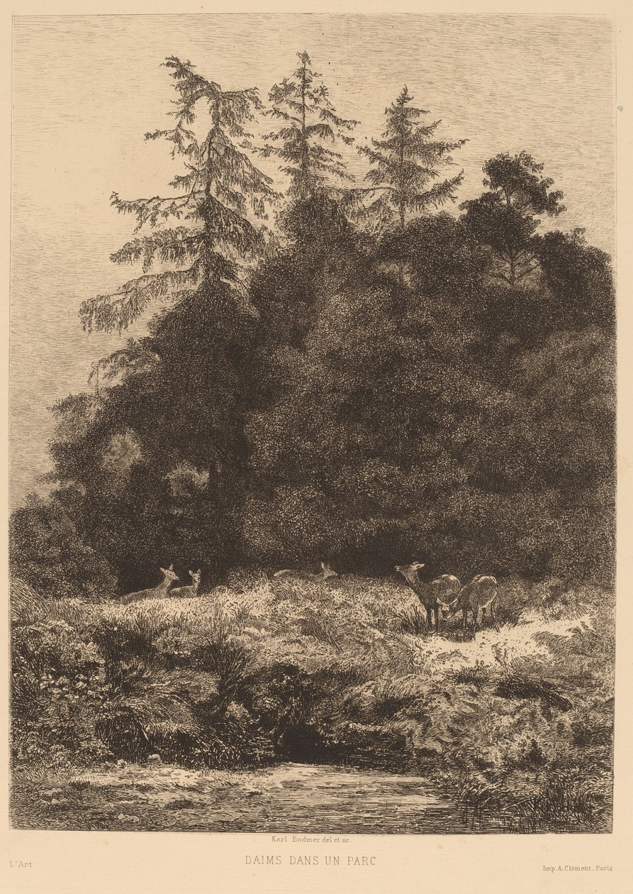 Dámszarvas a parkban. alkotó: Karl Bodmer