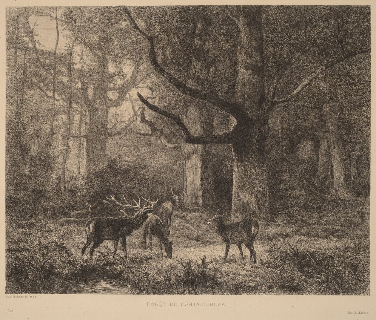 Fontainebleau-i erdő alkotó: Karl Bodmer