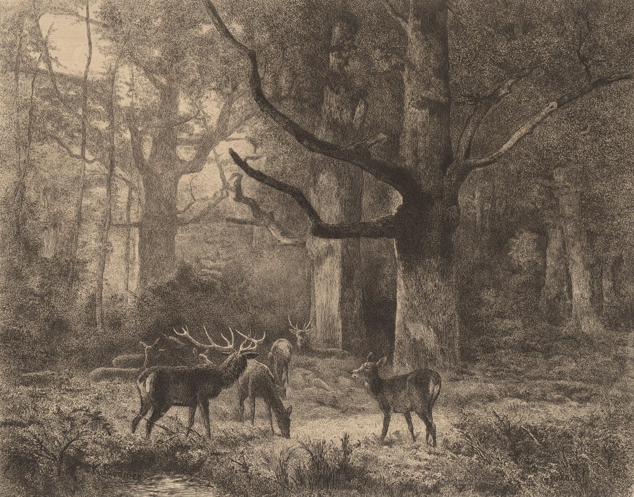 Fontainebleau-i erdő. alkotó: Karl Bodmer