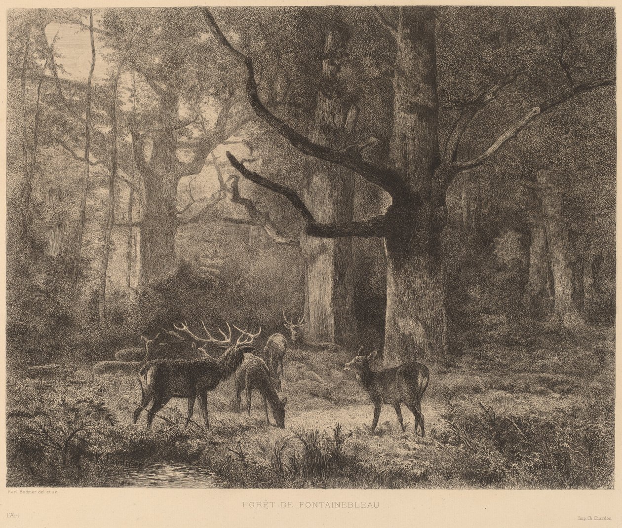 Fontainebleau-i erdő alkotó: Karl Bodmer