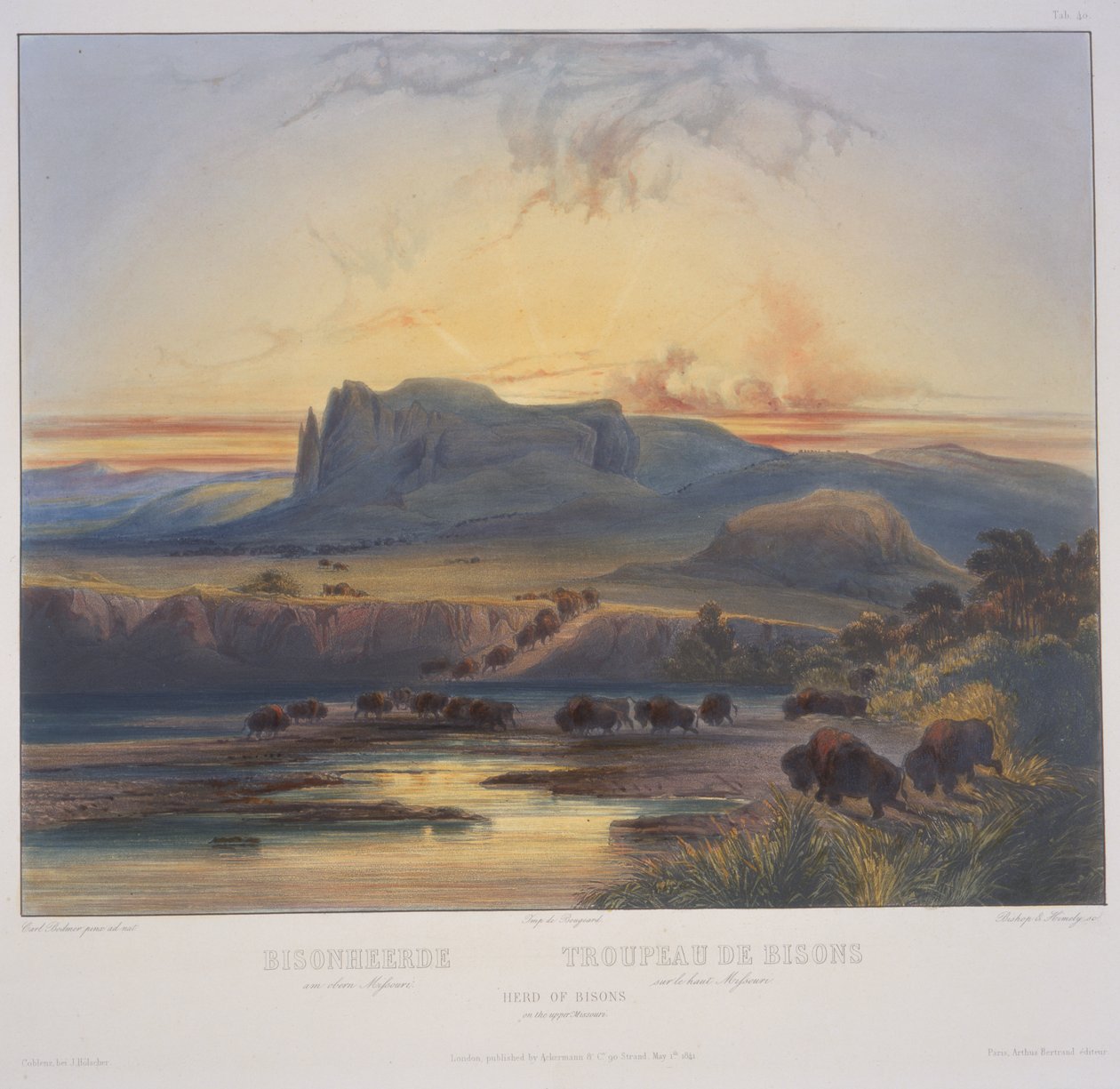 Bölénycsorda Missouri felső részén alkotó: Karl Bodmer