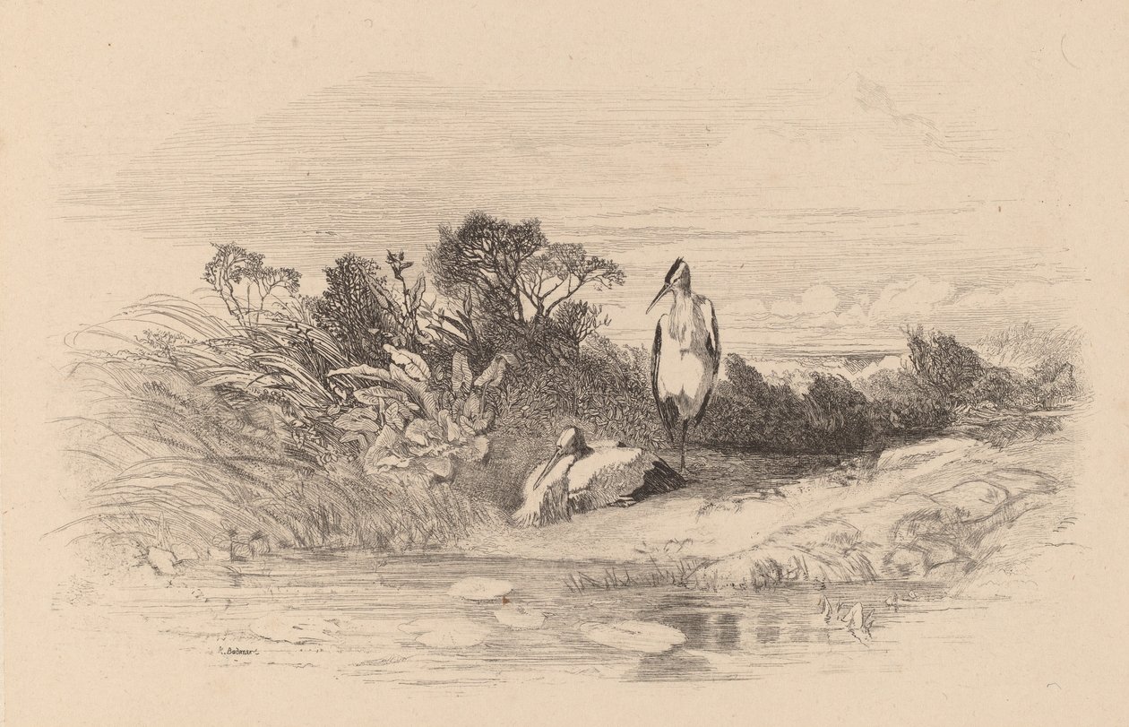 Gémek. alkotó: Karl Bodmer