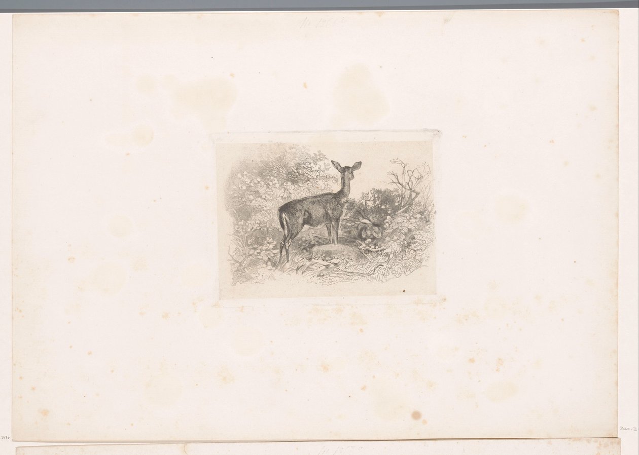 Hindu az erdőben Tájak állatokkal (sorozat címe) alkotó: Karl Bodmer