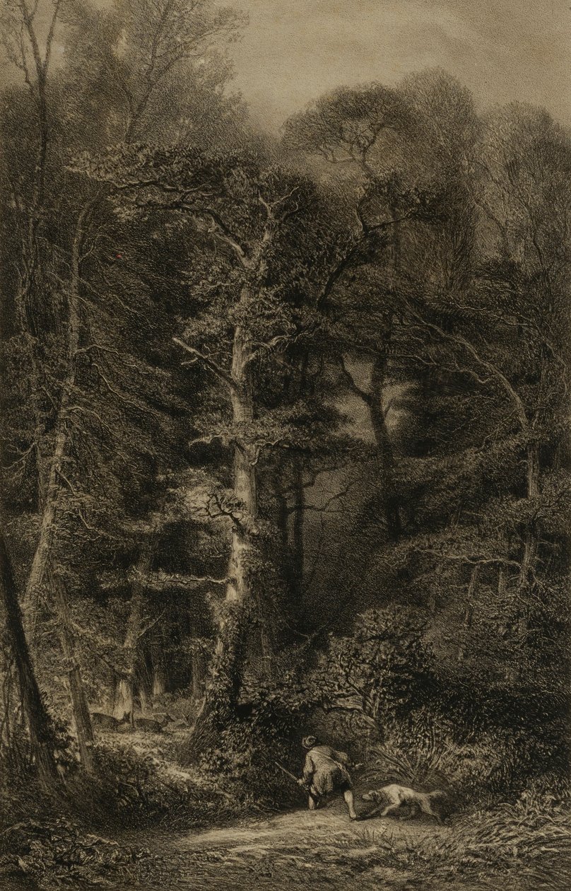 Erdei belső tér alkotó: Karl Bodmer