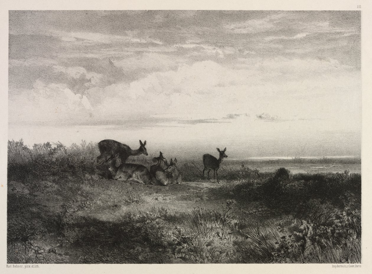 Táj szarvassal alkotó: Karl Bodmer