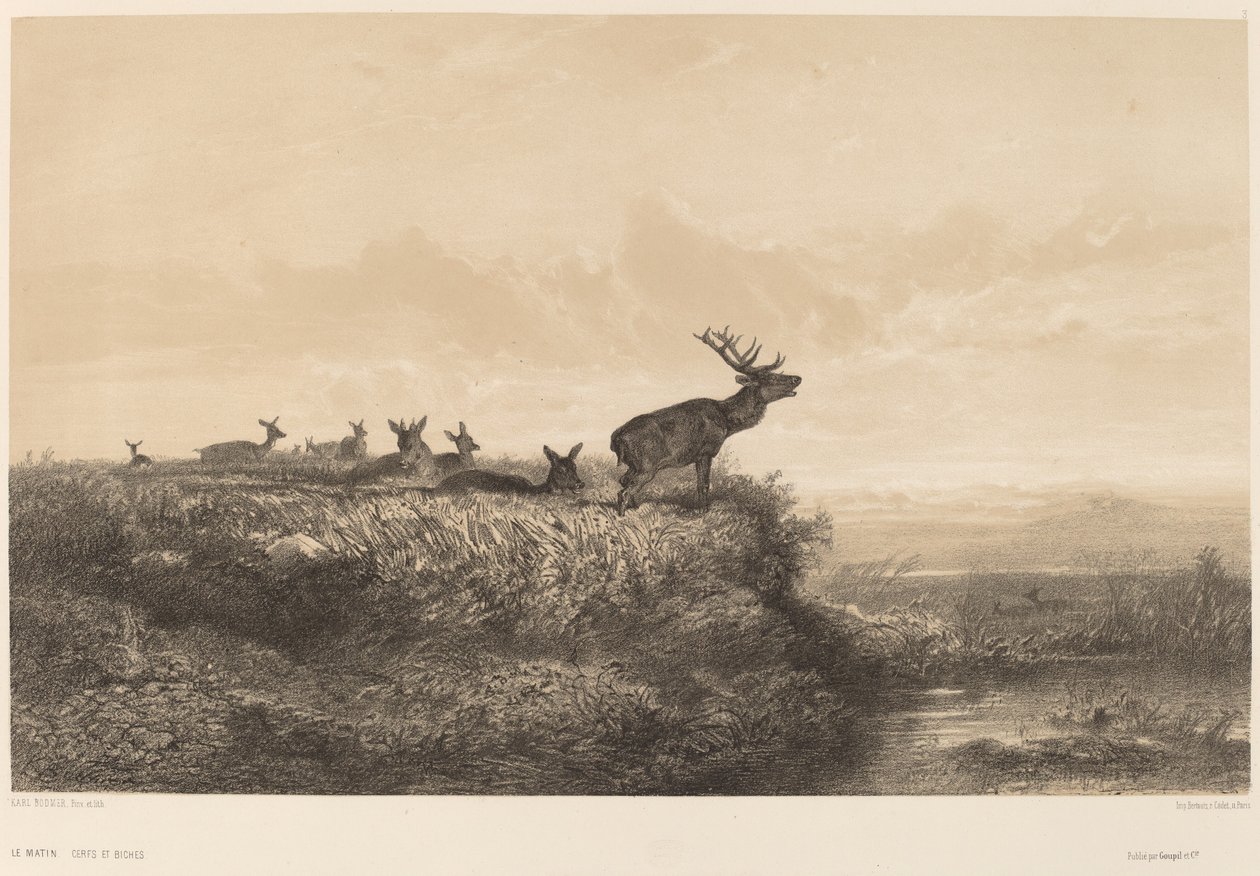 A reggel. alkotó: Karl Bodmer