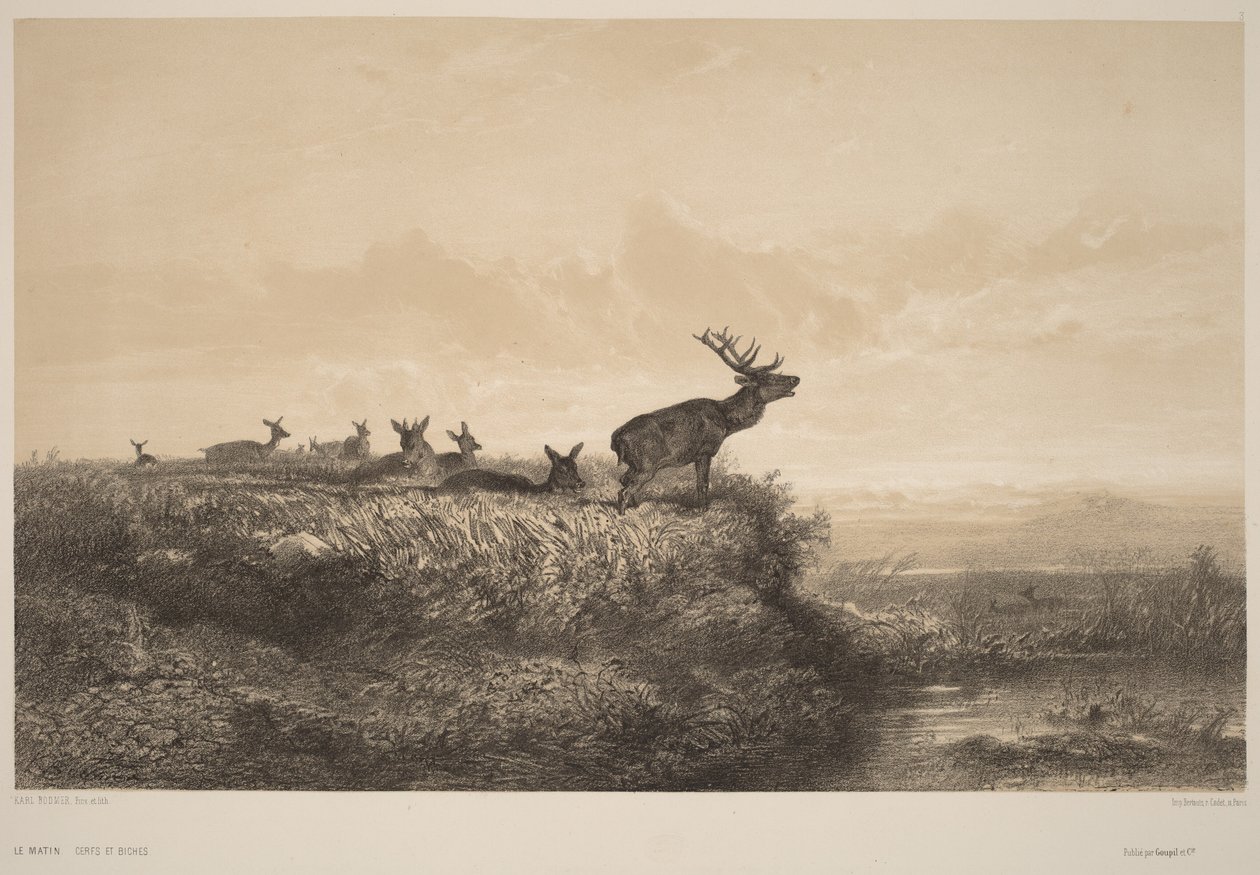 Reggel alkotó: Karl Bodmer