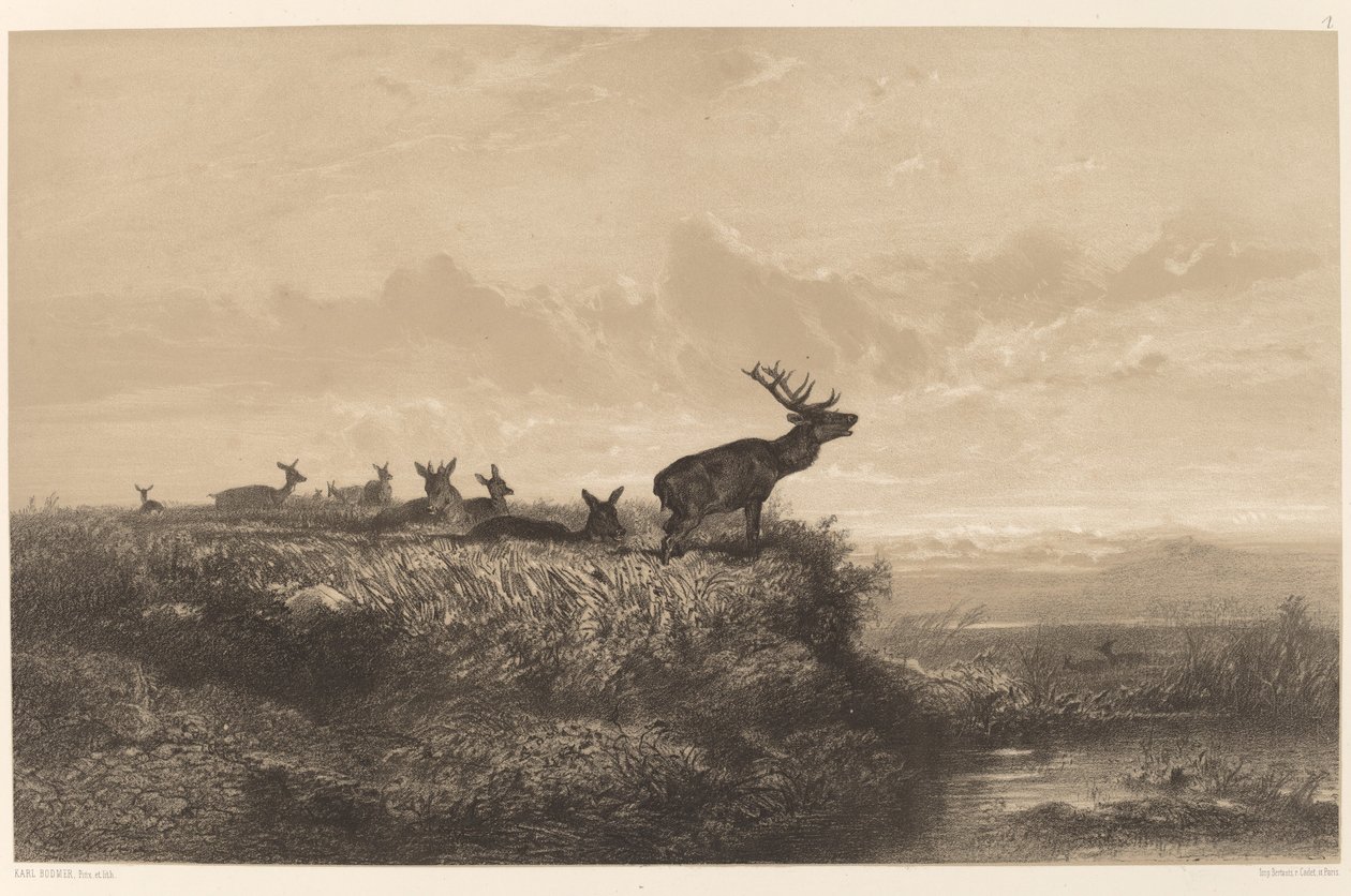 A reggel. Szarvasok és Hindek alkotó: Karl Bodmer