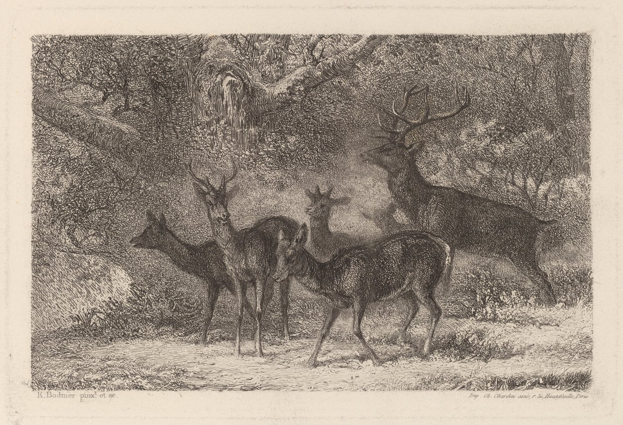 a csorda alkotó: Karl Bodmer