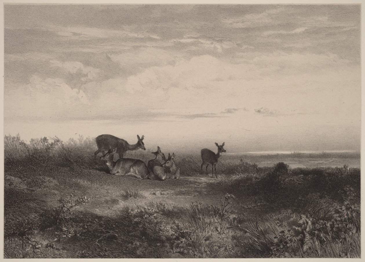 A szarvastehenek alkotó: Karl Bodmer