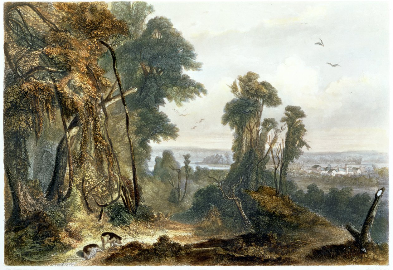 New Harmony on the Wabash, 2. tábla a „Travels in the Interior of North America” 2. kötetéből, Lucas Weber metszet, 1844 (akvatinta) alkotó: Karl Bodmer