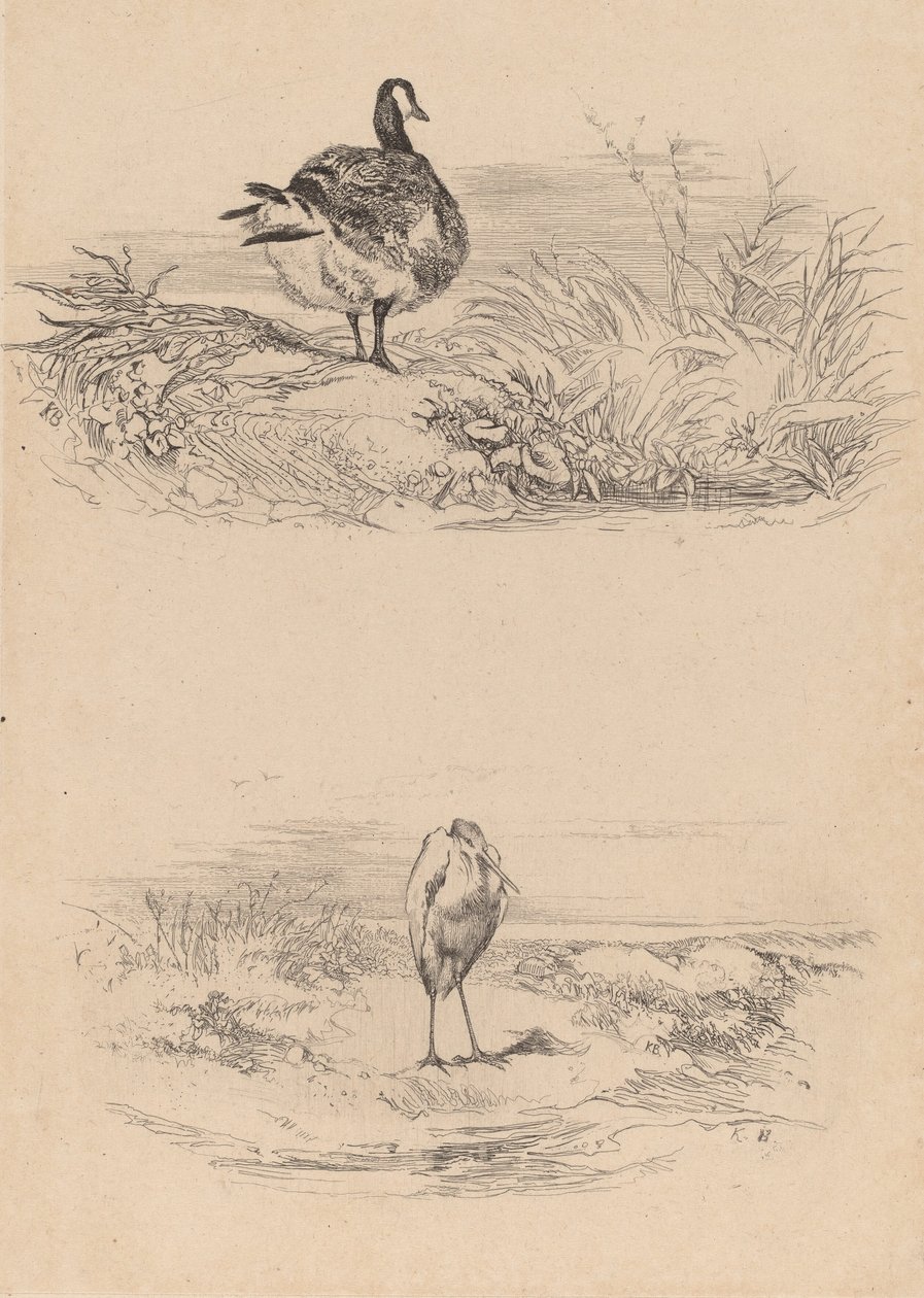 Jaj, Heron. alkotó: Karl Bodmer