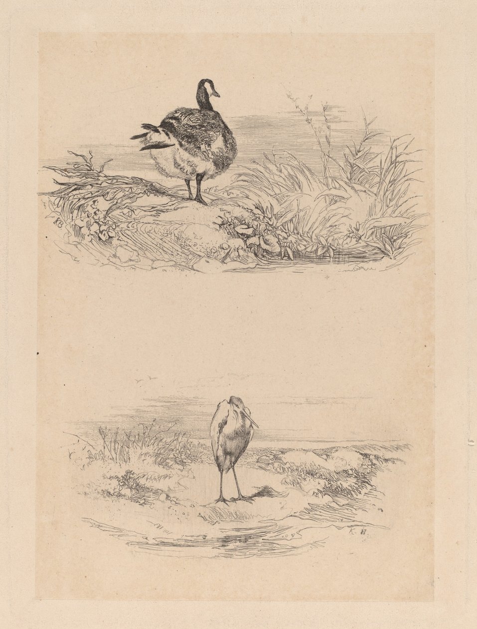 Jaj, Heron alkotó: Karl Bodmer