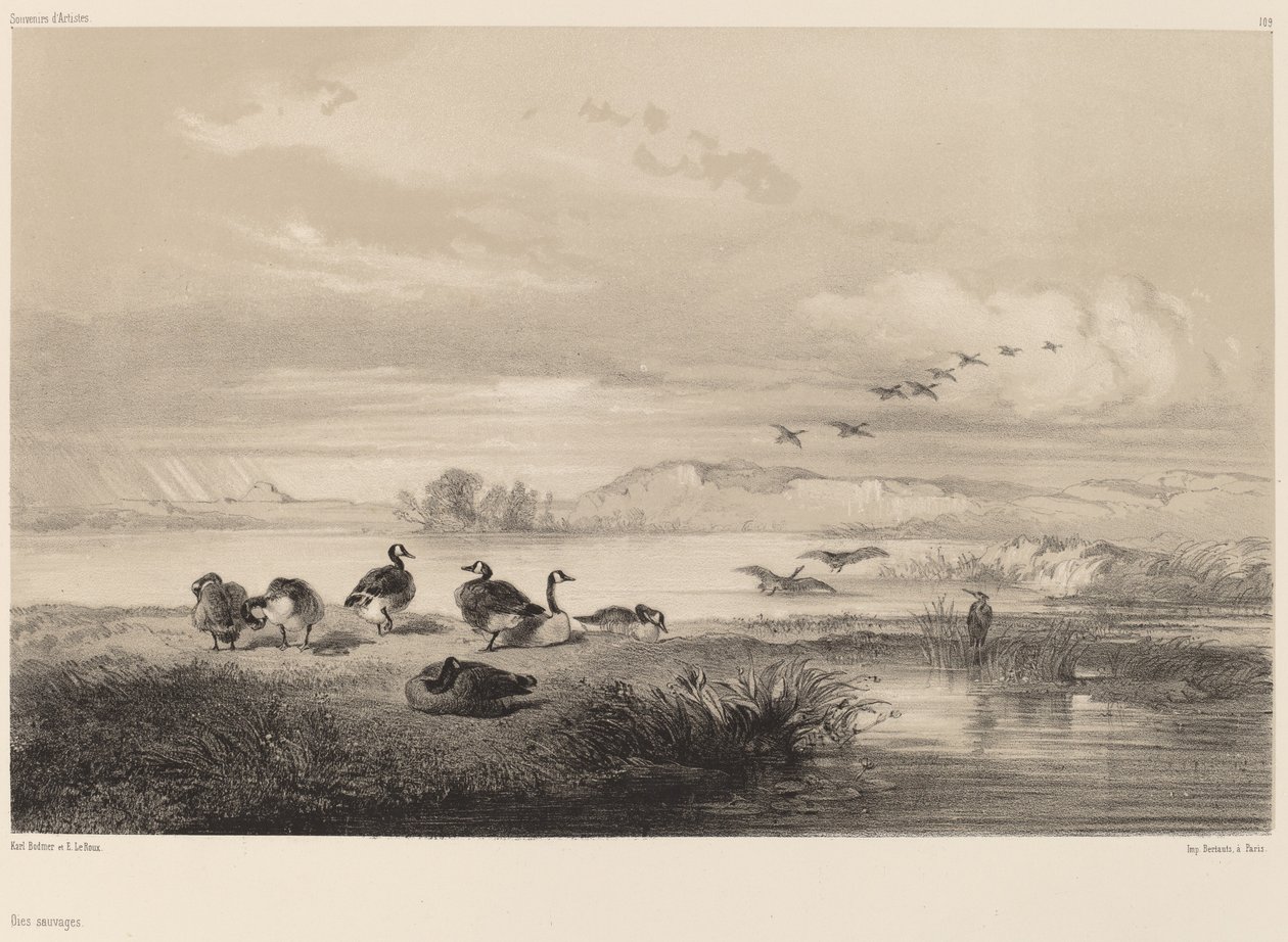 vadlibák alkotó: Karl Bodmer