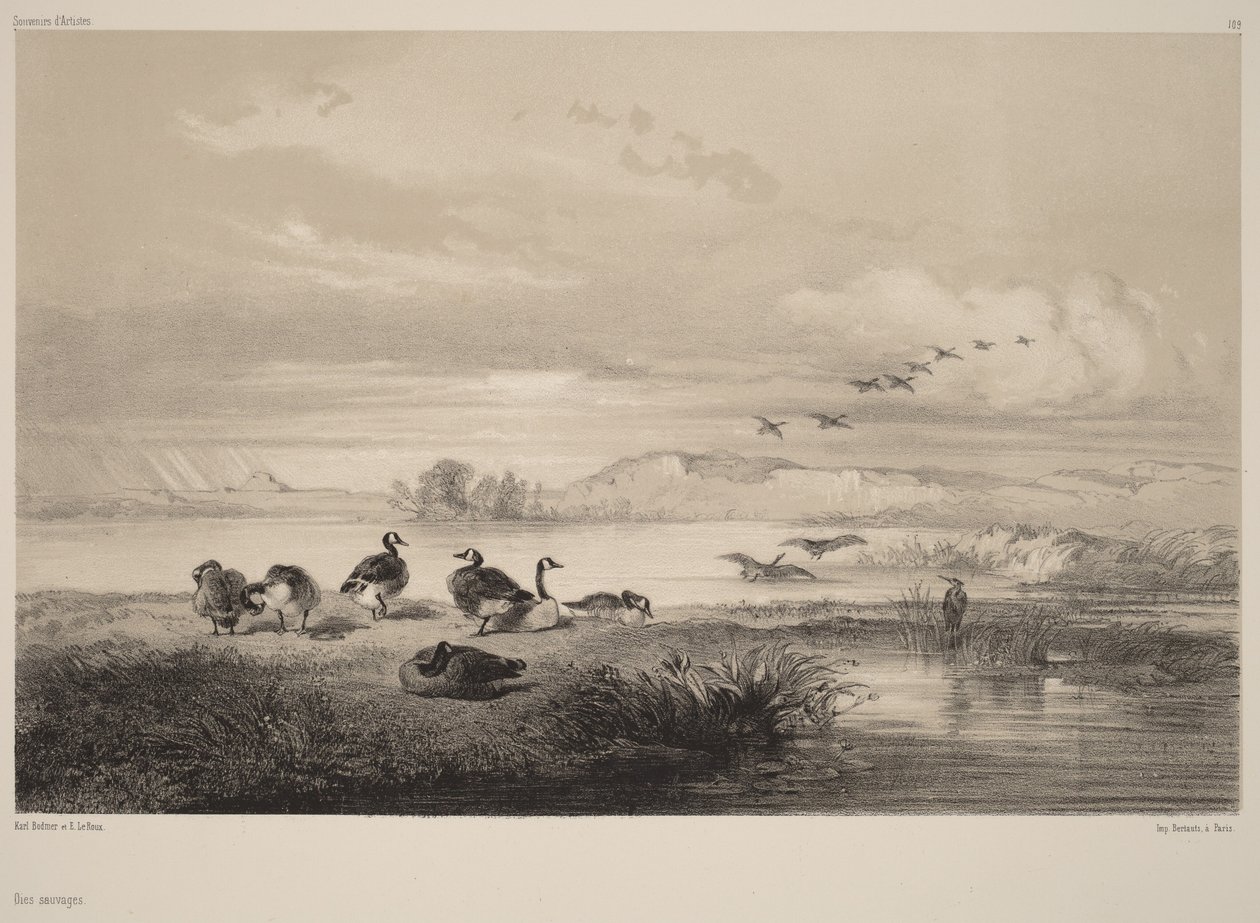 Vadludak alkotó: Karl Bodmer