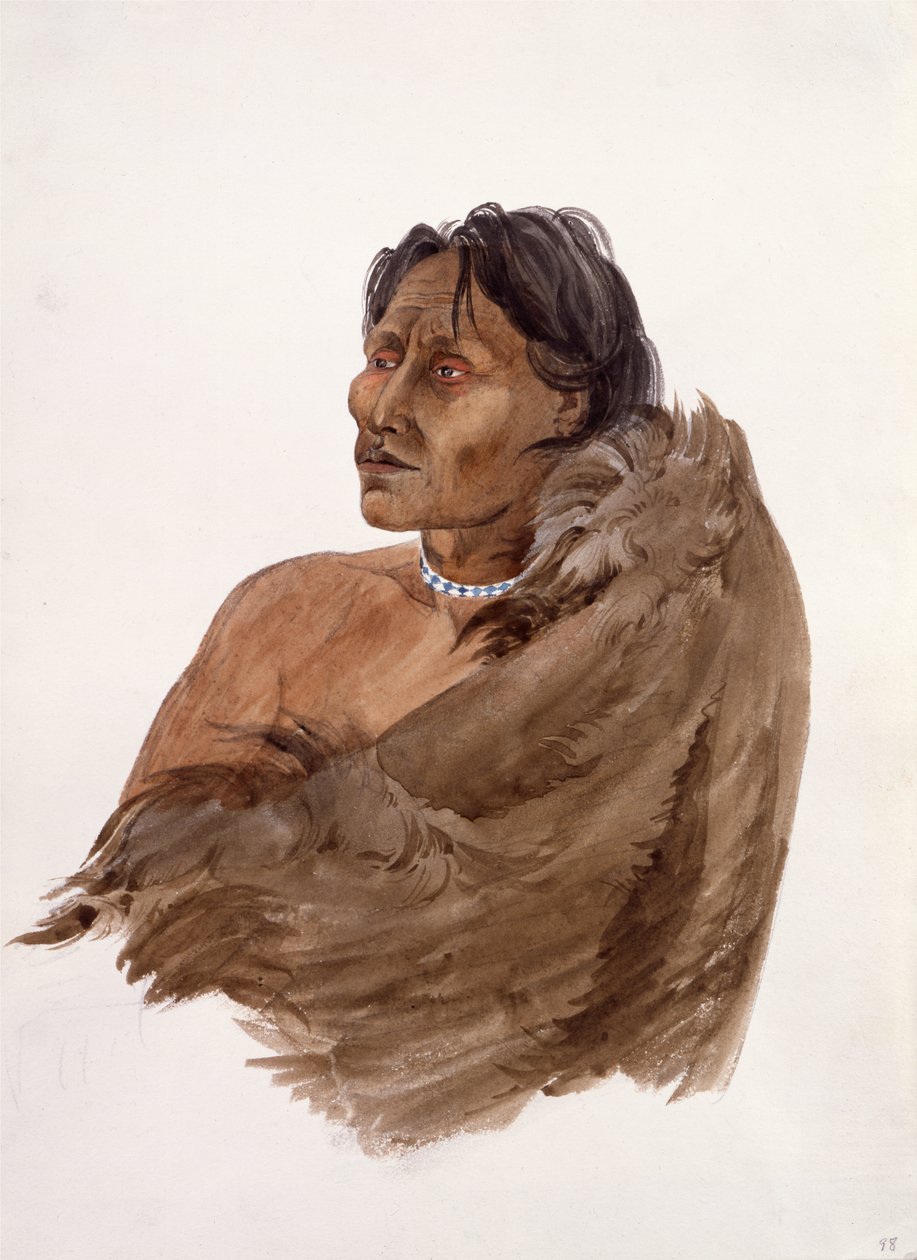  alkotó: Karl Bodmer
