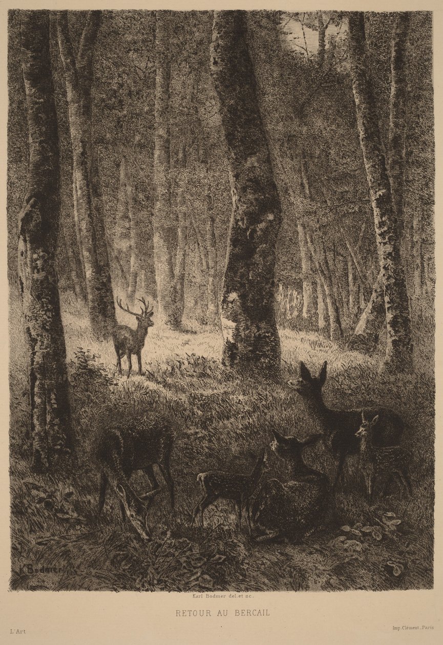 Visszatérés a nyájhoz alkotó: Karl Bodmer