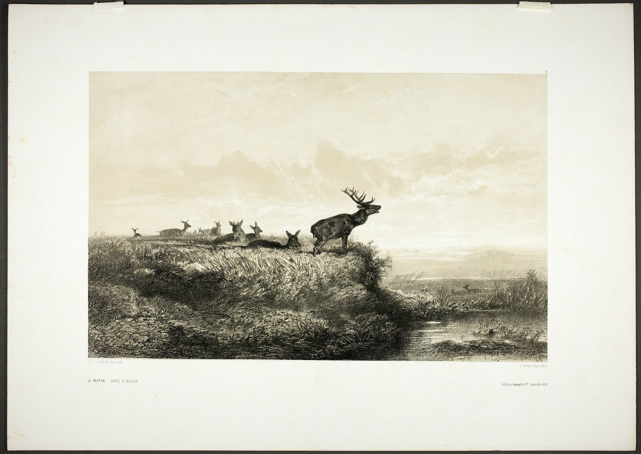 Reggel: Szarvasok és őzek alkotó: Karl Bodmer