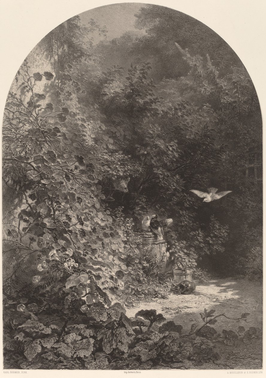 A kert egyik sarka. alkotó: Karl Bodmer