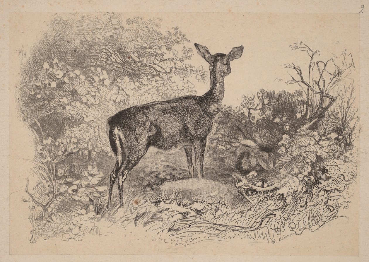 Egy őz alkotó: Karl Bodmer