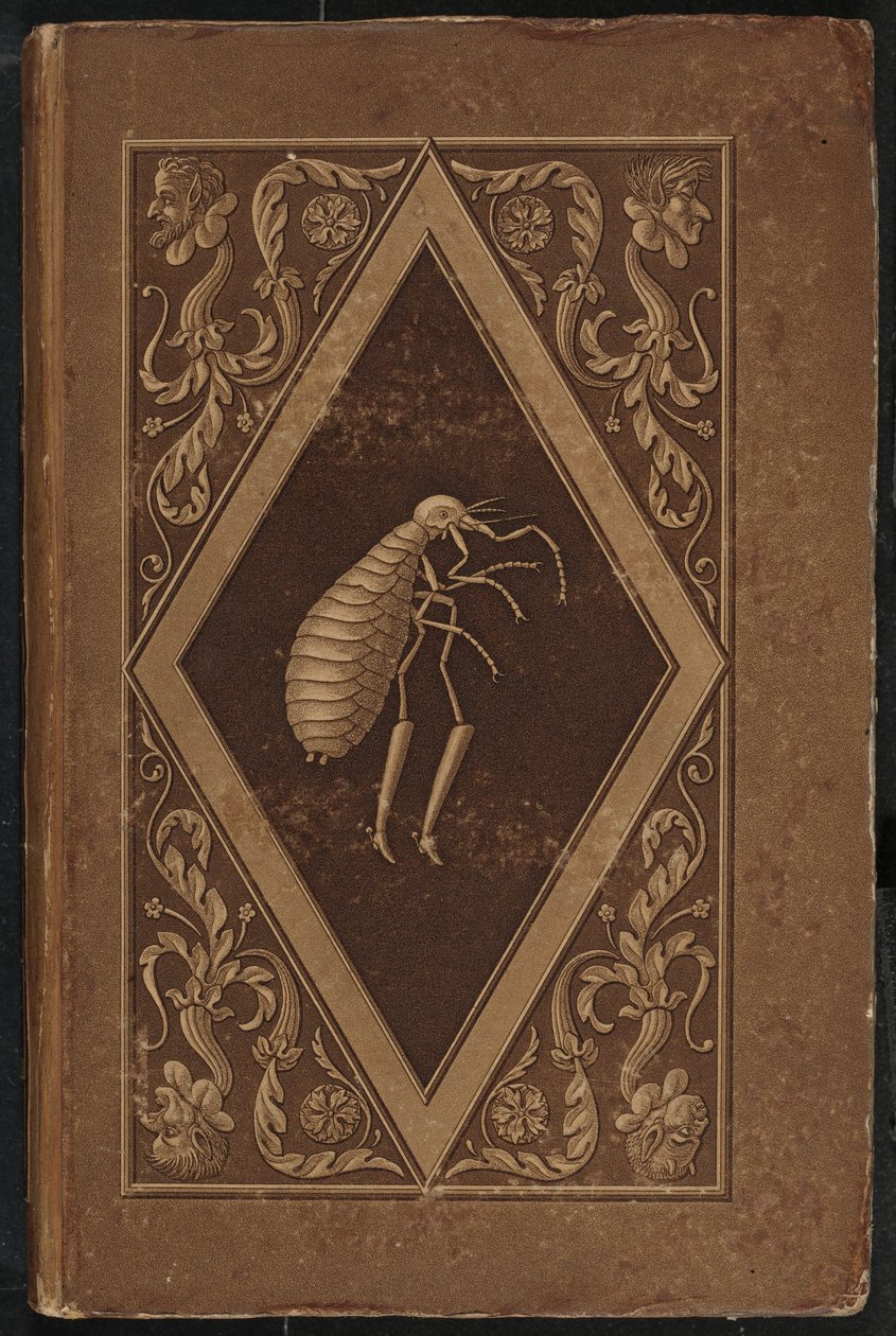 mesterbolha. Egy tündérmese két barát hét kalandjában (Mester Flea: A Fairy-Tale in Seven Adventures of Two Friends alkotó: Karl Friedrich Thiele, Ernst Theodor Amadeus Hoffmann