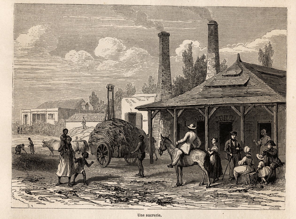 Cukorgyár a mauritiusi Riviere du Rempartról, Karl Girardet (1813-1871) rajza Alfred Verney 1861-es mauritiusi tartózkodásának illusztrálására. Metszet a „” Le tour du monde”-ban, szerkesztette Edouard Charton alkotó: Karl Girardet