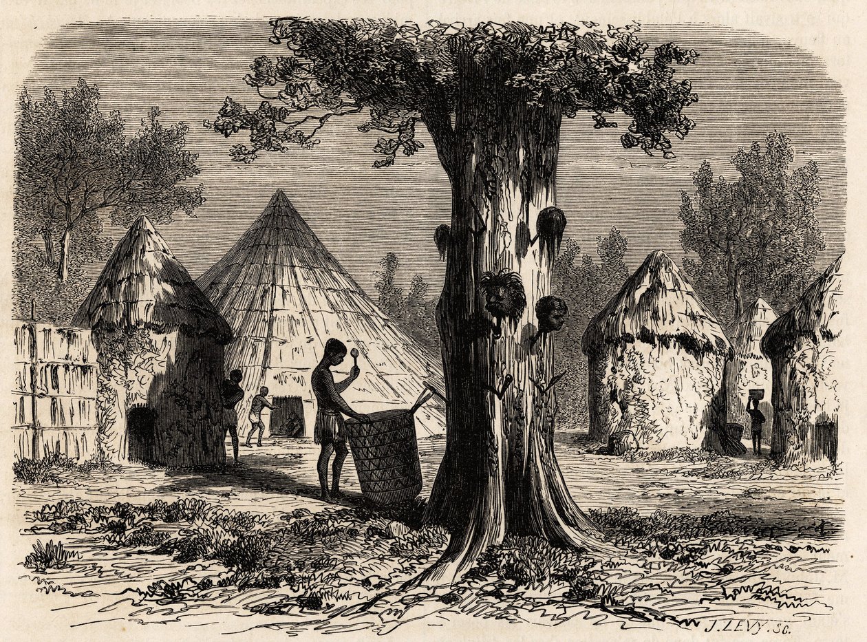 A háború fája egy Djour faluban, a Bahr-el-Gazal régióban, Szudánban, Karl Girardet (1813-1871) rajza A. Bolognesi gazelláinak 1856-1857-es utazásának szemléltetésére. Gravírozás a „Le tour du monde”-ban, szerkesztette Edouard Charton alkotó: Karl Girardet