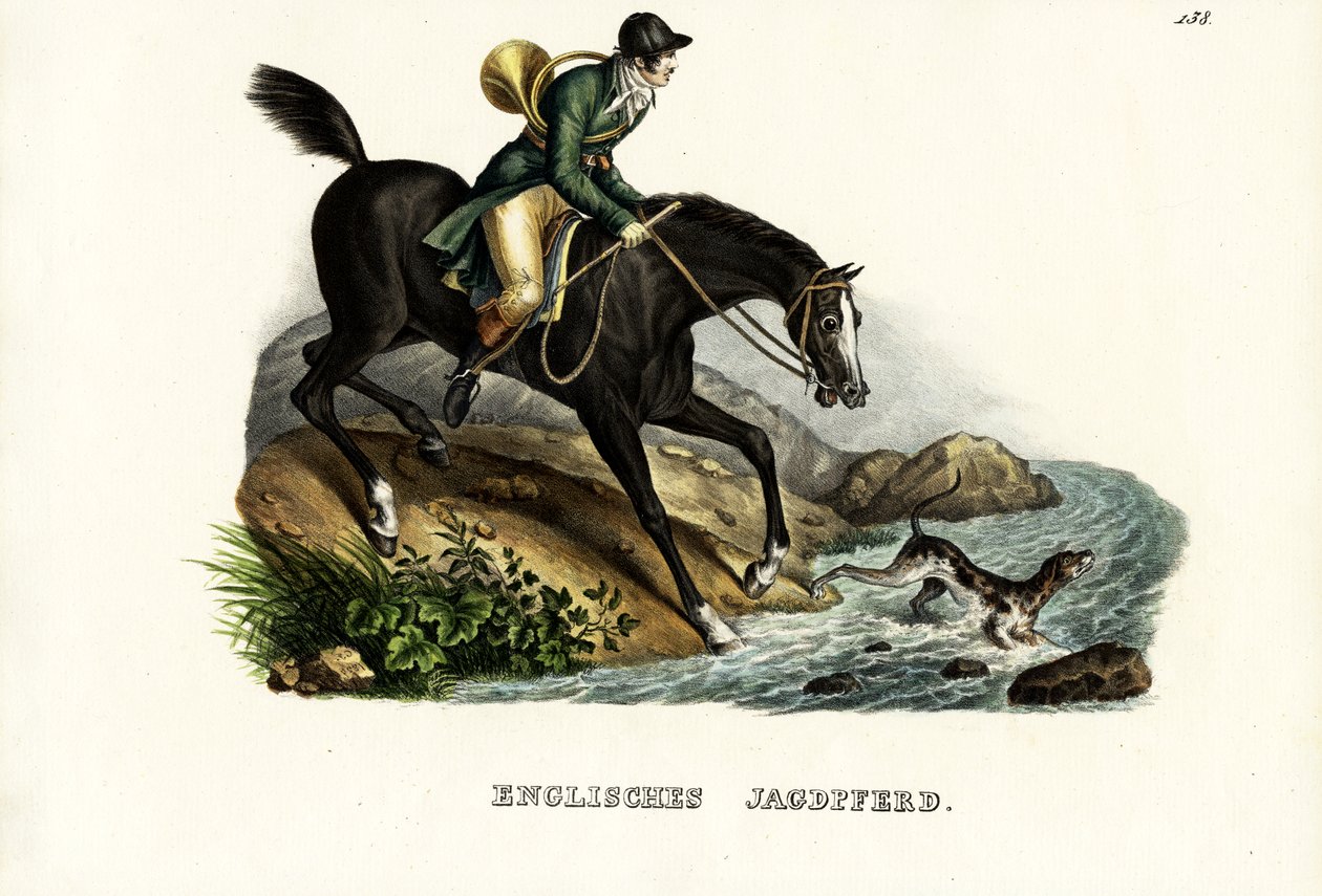 Angol Hunter Horse, 1824 alkotó: Karl Joseph Brodtmann