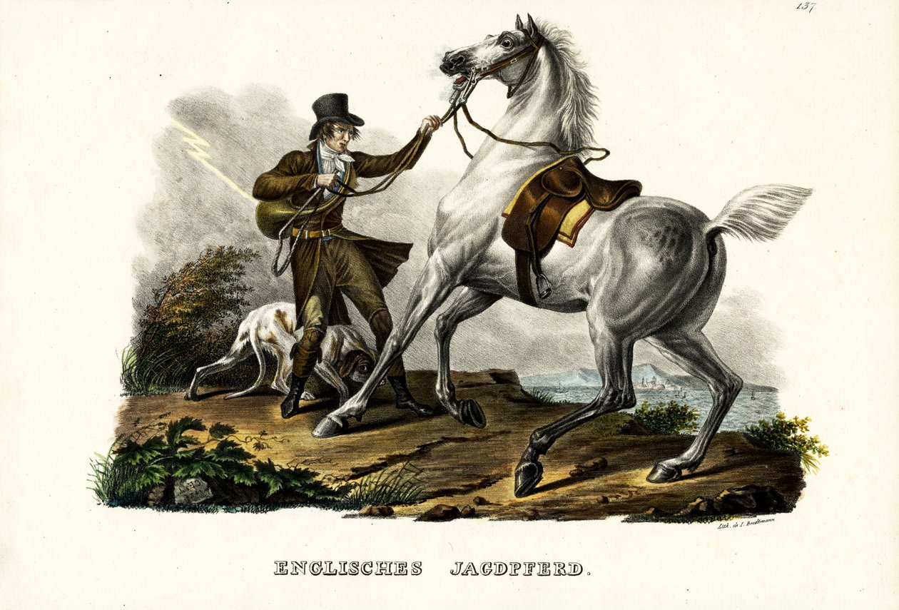 Angol Hunter Horse, 1824 alkotó: Karl Joseph Brodtmann