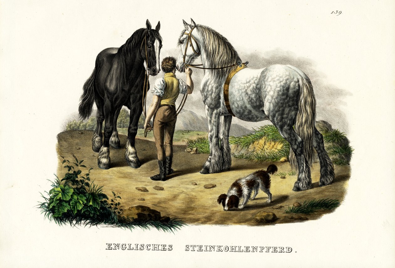 English Pit Horse, 1824 alkotó: Karl Joseph Brodtmann