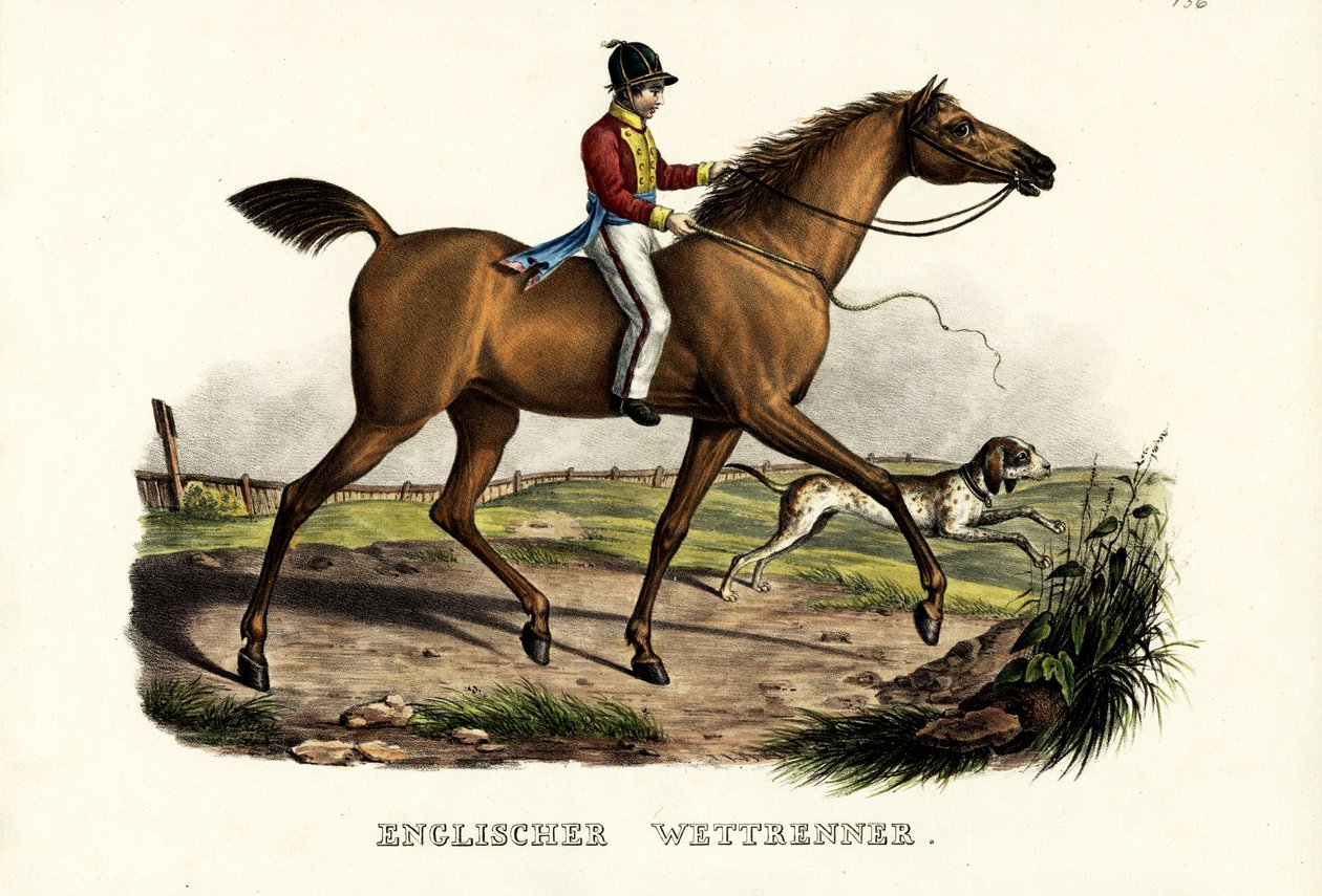 Angol versenyló, 1824 alkotó: Karl Joseph Brodtmann