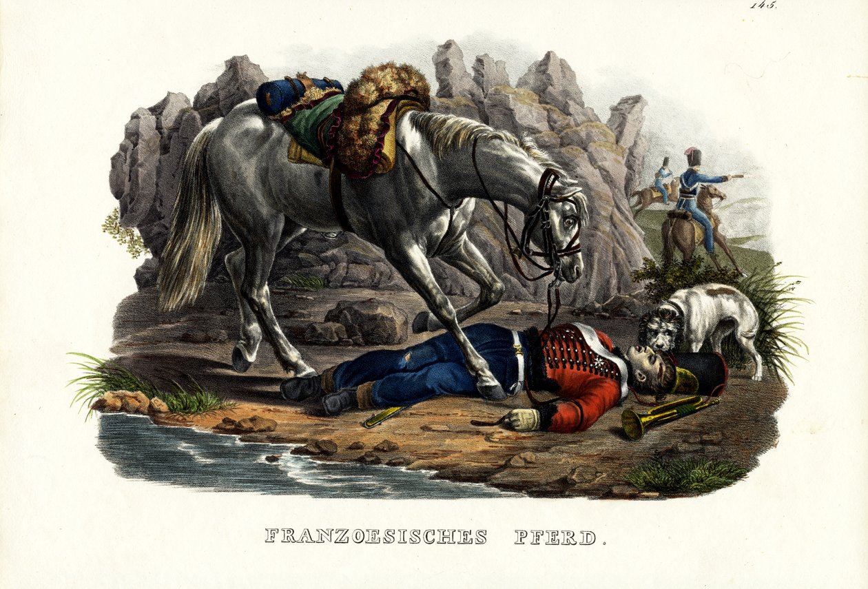 Francia ló, 1824 alkotó: Karl Joseph Brodtmann