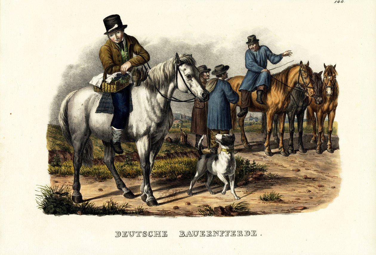 Német parasztlovak, 1824 alkotó: Karl Joseph Brodtmann
