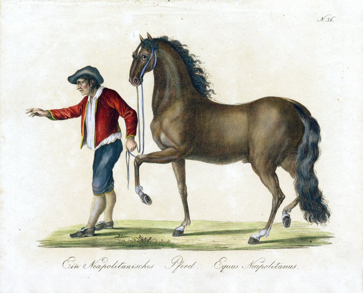  alkotó: Karl Joseph Brodtmann