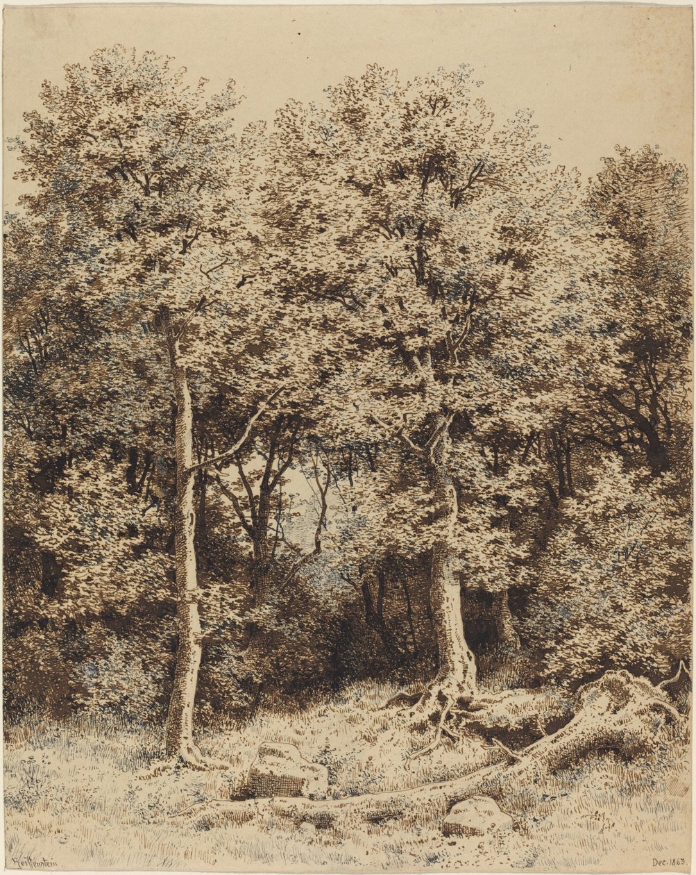 Egy fasor alkotó: Karl Theodor Reiffenstein