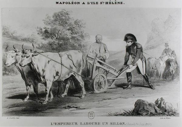 Napóleon (1769-1821) a Szent Ilonán, metszett: Francois le Villain (fl.1819-22) alkotó: Karl after Loeillot Hartwig