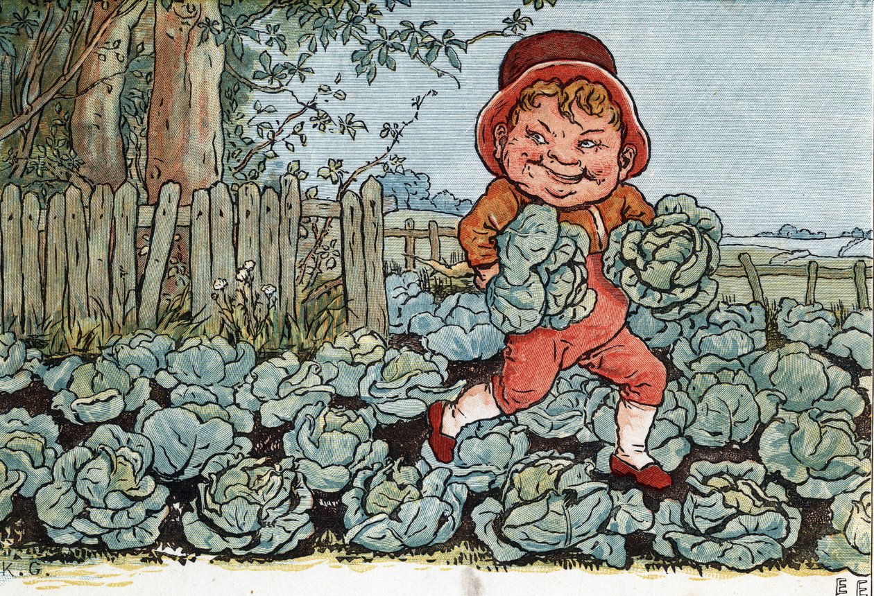 Egy gnóm káposztát lop egy veteményesből. (Egy goblin káposztát lop). Kate Greenaway (1846-1901) illusztrációja az Edmund Evans által szerkesztett „” Under The Window” (1879) mesék és mondókák gyerekeknek című könyvéből. alkotó: Kate Greenaway