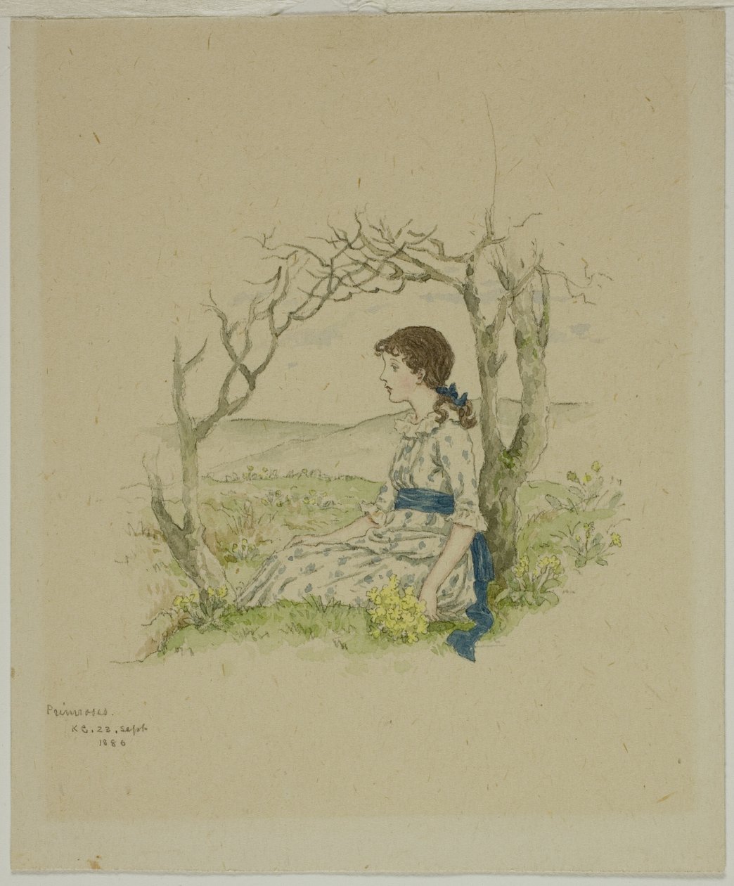 Ülő lány kankalinnal alkotó: Kate Greenaway