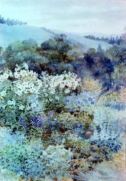 Dél-afrikai kertben, 1900-10 körül (akvarell) alkotó: Kate Haith