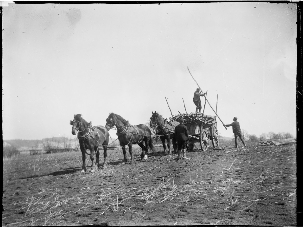 Broomfield, Broomfield és Kingswood, Maidstone, Kent, 1904.04.06. (f/w fotó) alkotó: Katherine Jean Macfee
