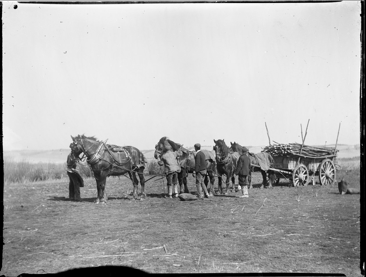 Broomfield, Broomfield és Kingswood, Maidstone, Kent, 1904.04.06. (f/w fotó) alkotó: Katherine Jean Macfee