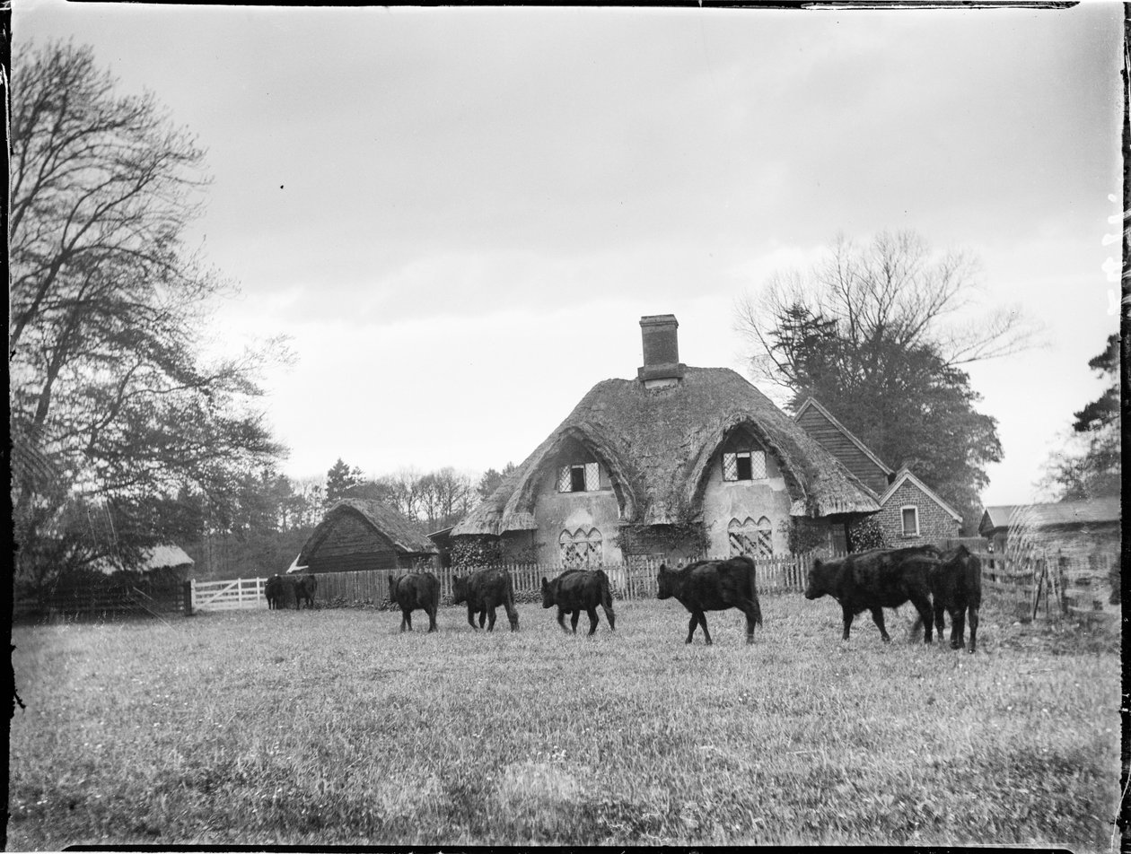 Great Hampden, Great and Little Hampden, Wycombe, Buckinghamshire alkotó: Katherine Jean Macfee