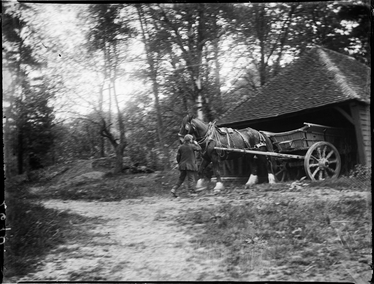 Groombridge, Speldhurst, Tunbridge Wells, Kent, 1911.05.20. (f/w fotó) alkotó: Katherine Jean Macfee