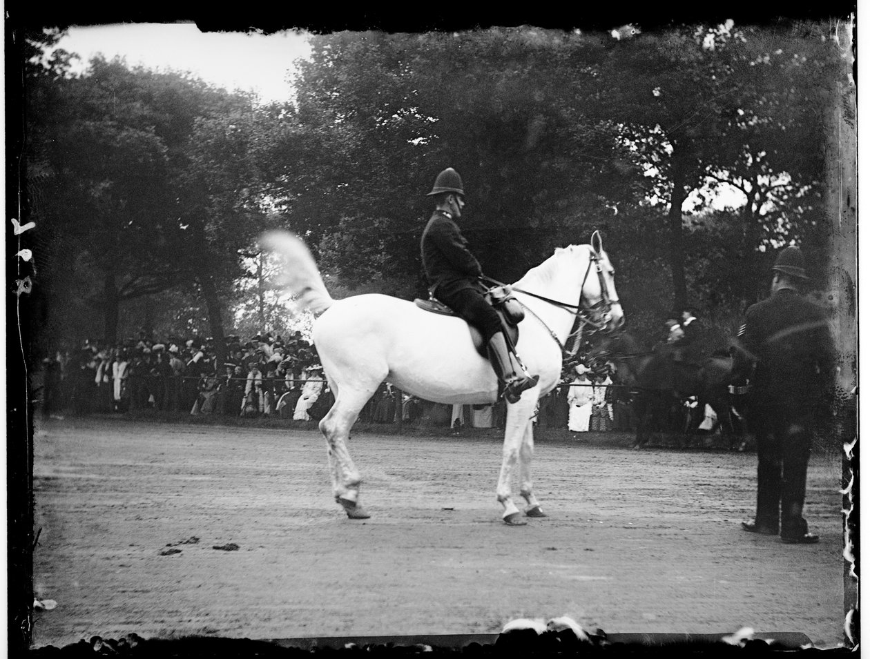 Hyde Park, Westminster városa, London alkotó: Katherine Jean Macfee