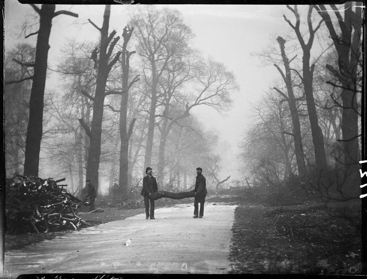 Kensington Gardens, Hyde Park, City Of Westminster, London, 1907.01.26. (f/w fotó) alkotó: Katherine Jean Macfee
