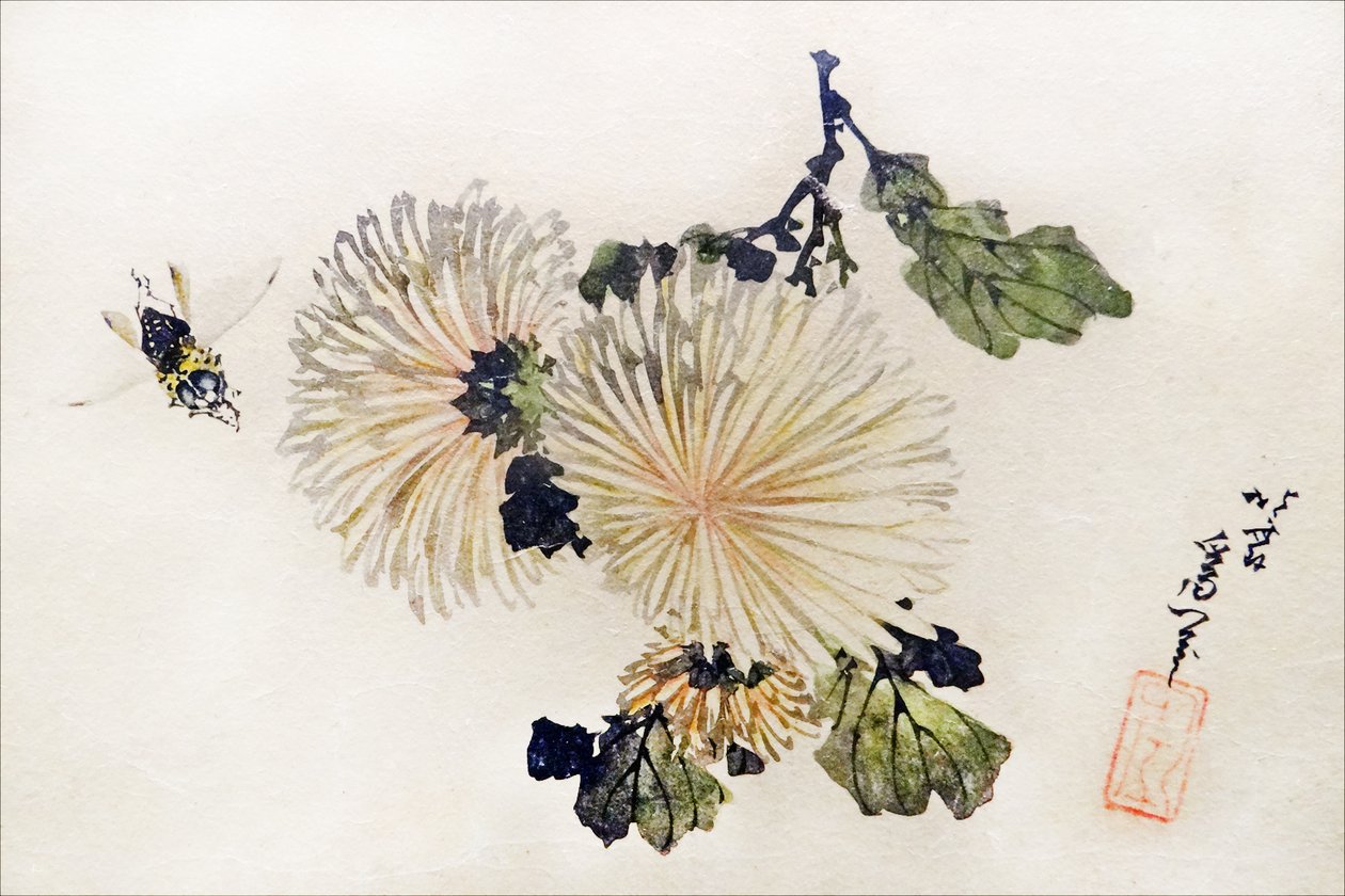 Krizantémok alkotása alkotó: Katsushika Hokusai