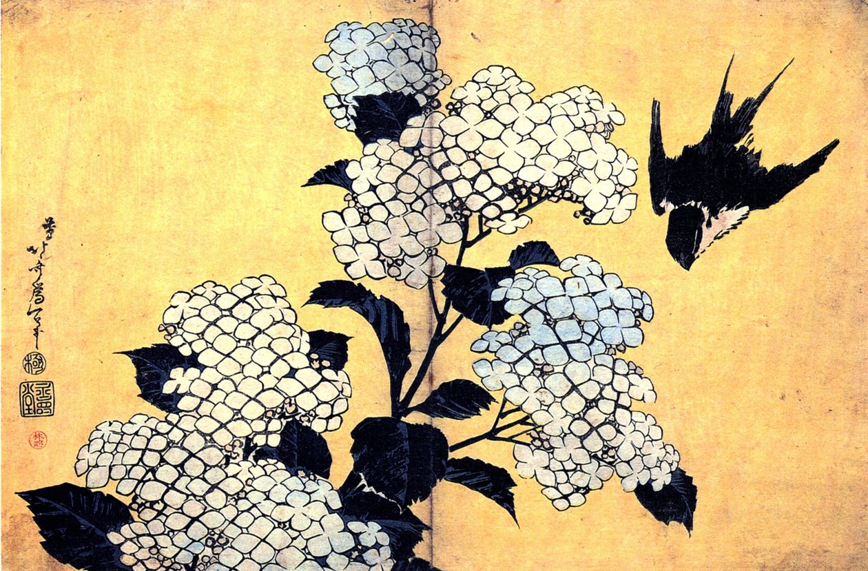 Hortenzia és fecske alkotó: Katsushika Hokusai
