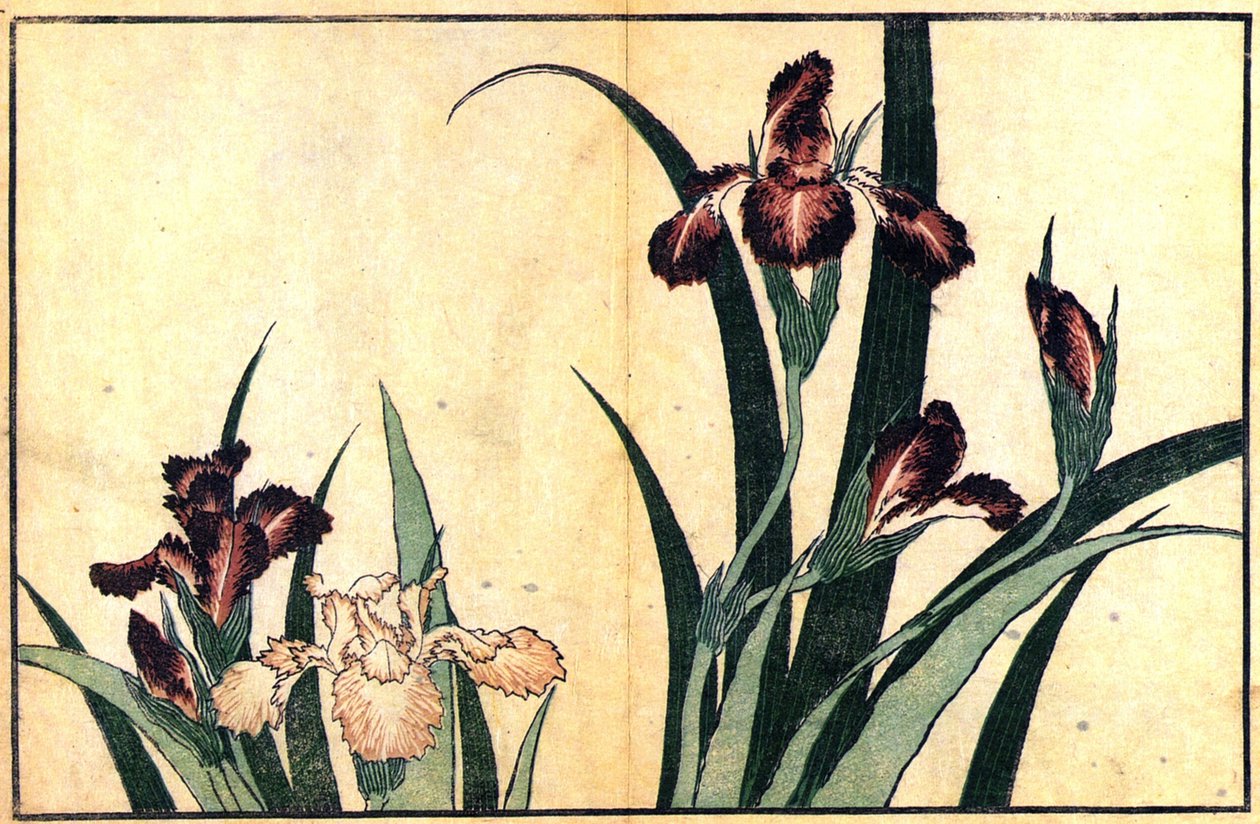 Íriszek alkotó: Katsushika Hokusai