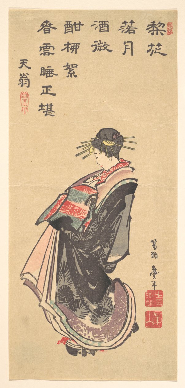 Egy kurtizán a felvonuláson, sokféle ruhában alkotó: Katsushika Hokusai