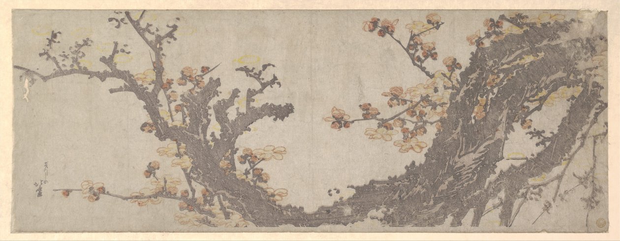 Virágzó ősi szilvafa alkotó: Katsushika Hokusai